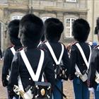 IMG 7738