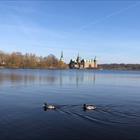 IMG 7829