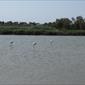 IMG_0826.JPG