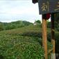 P1100937.JPG