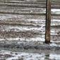 _DSC1349 (2)