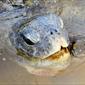 _DSC1696 (2)